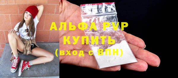 амф Верея