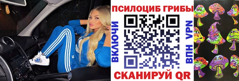 купить наркоту  blacksprut сайт  Псилоцибиновые грибы Psilocybe  Липецк 