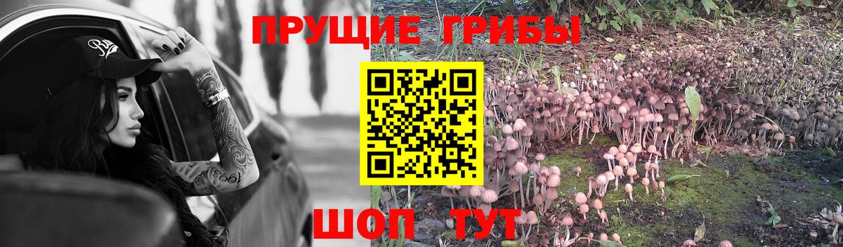 Липецк  Галлюциногенные грибы мицелий  Вход с VPN  Галлюциногенные грибы Magic Shrooms 