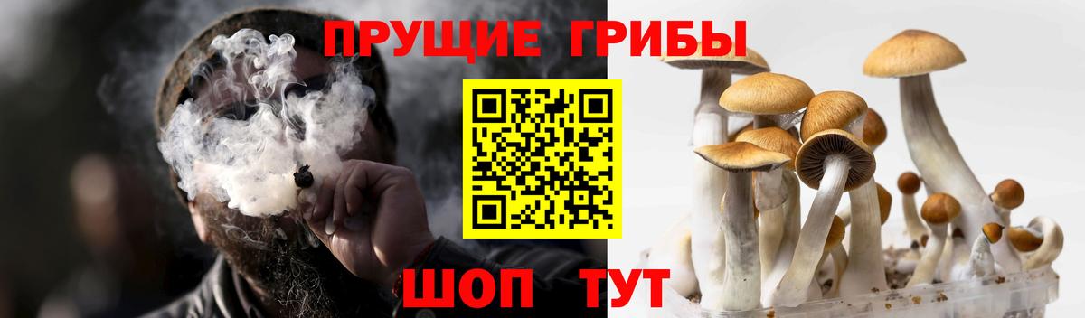 Псилоцибиновые грибы Magic Shrooms Липецк