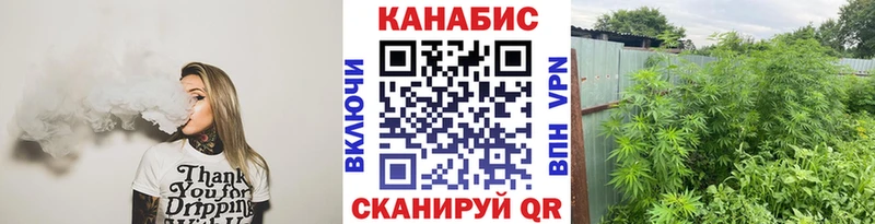 купить  сайты  mega   Шишки марихуана SATIVA & INDICA  darknet наркотические препараты  Липецк 